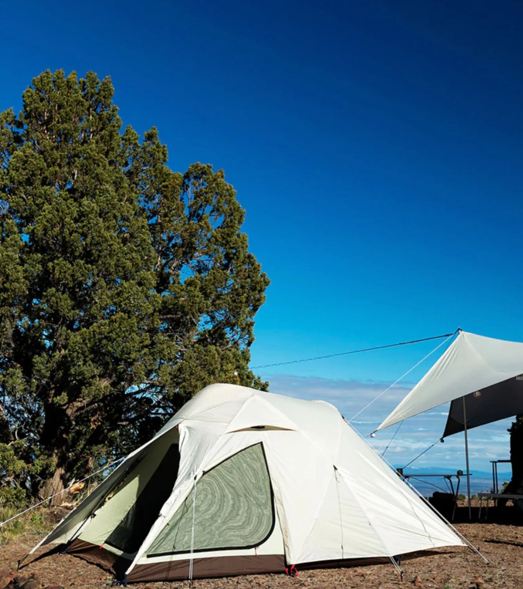 Alpha Breeze Tent Beige