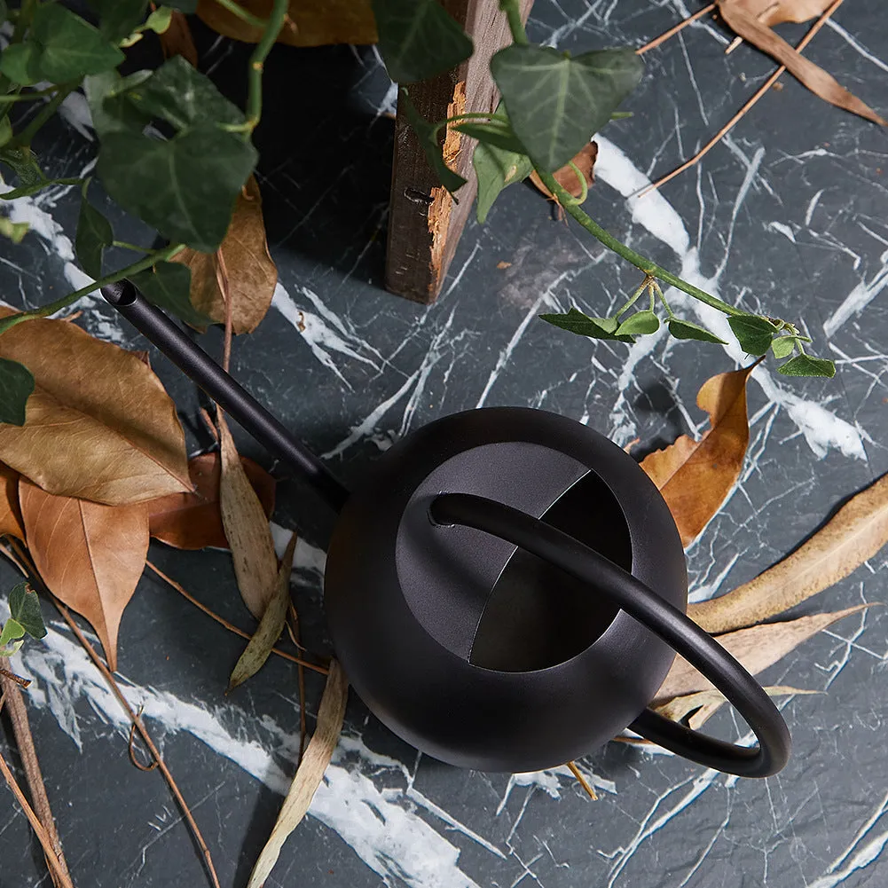 Large Capacity Stainless Steel Watering Pot