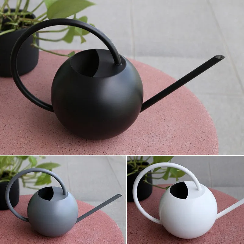 Large Capacity Stainless Steel Watering Pot