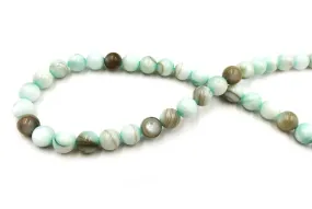 SP1031.03 Round Shell Bead 8mm