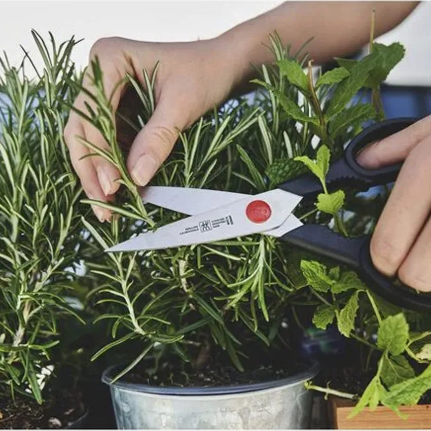 Zwilling | Twin L Kitchen Shear